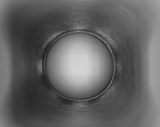 X0000102391262200808081220