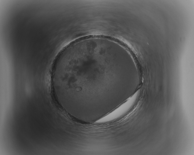 X0000102391263200808081220