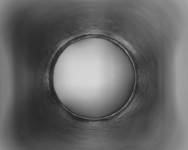 X0000102391264200808081220