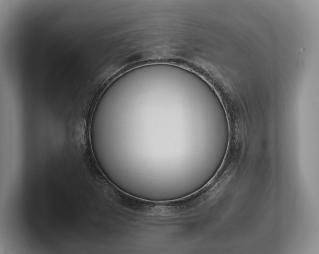 X0000102391265200808081220