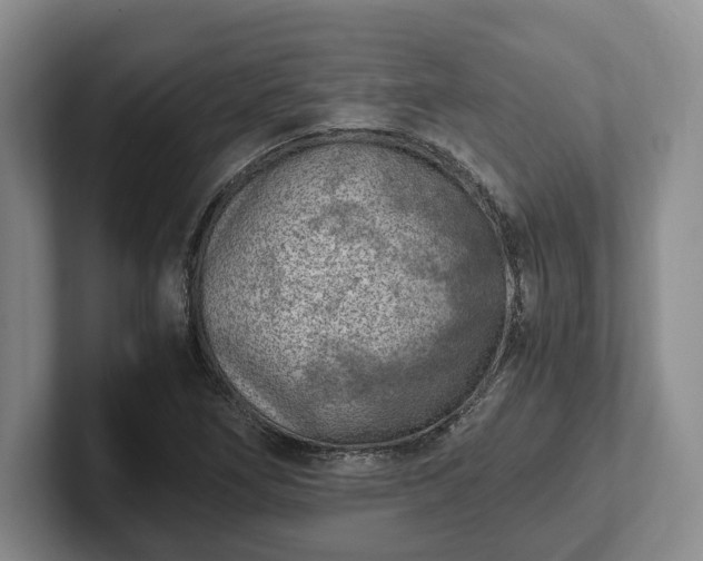 X0000102391266200808081220