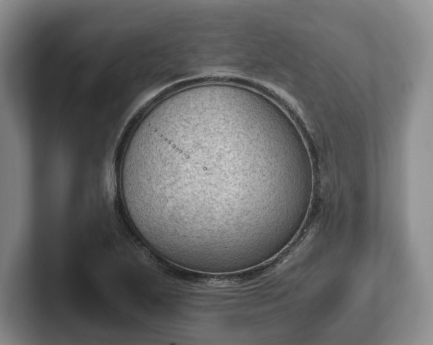 X0000102391271200808081220