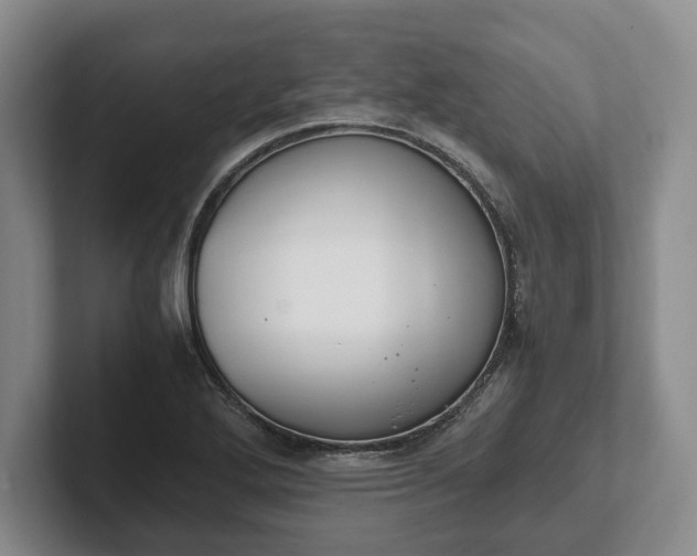 X0000102391272200808081220