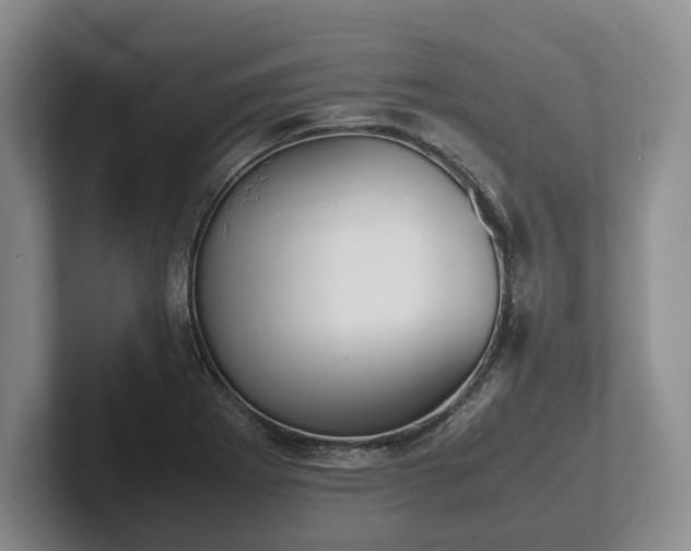 X0000102391273200808081220