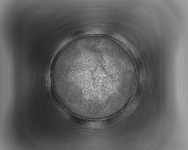 X0000102391274200808081220