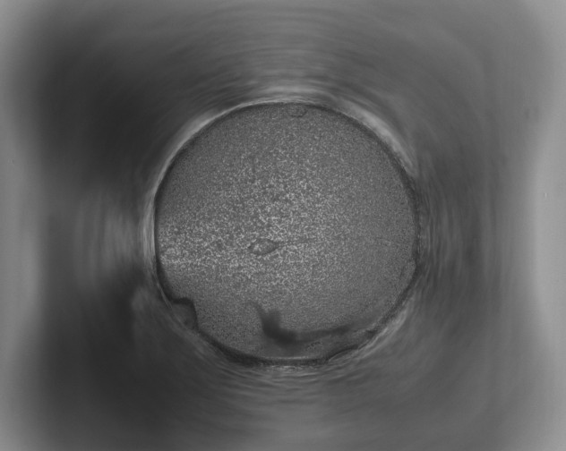 X0000102391275200808081220