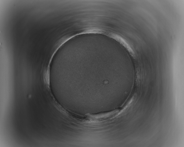 X0000102391276200808081220