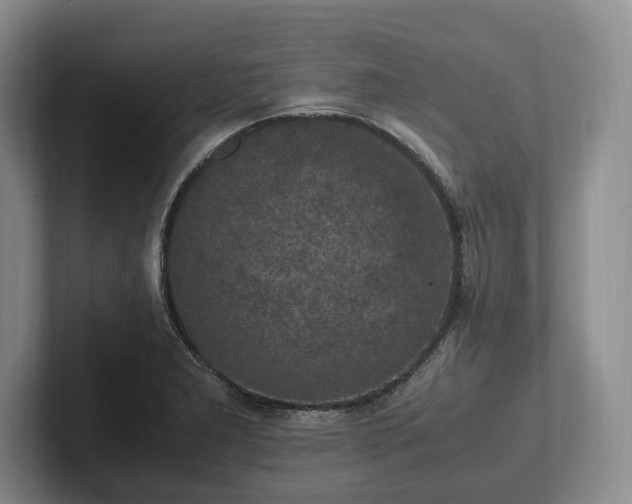 X0000102391277200808081220