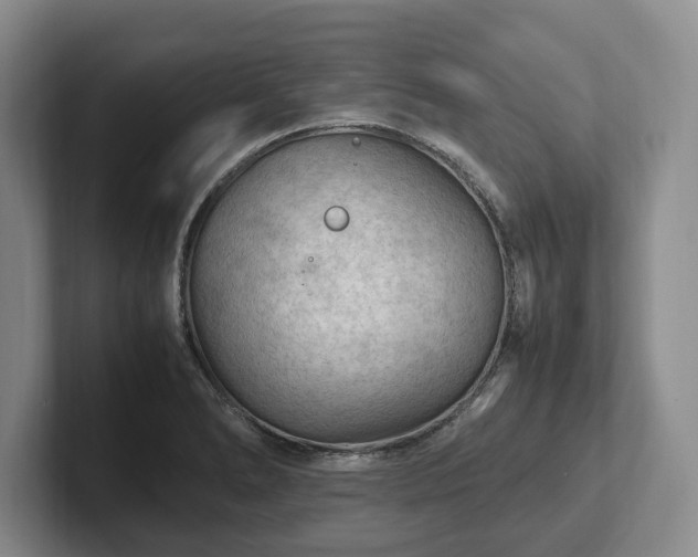 X0000102391278200808081220