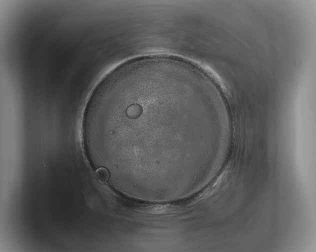 X0000102391279200808081220