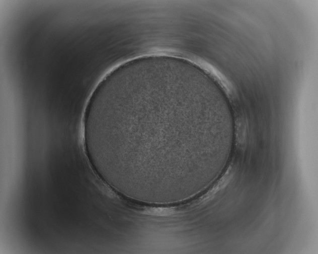 X0000102391280200808081220