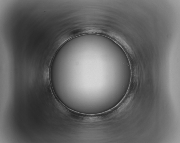 X0000102391281200808081220