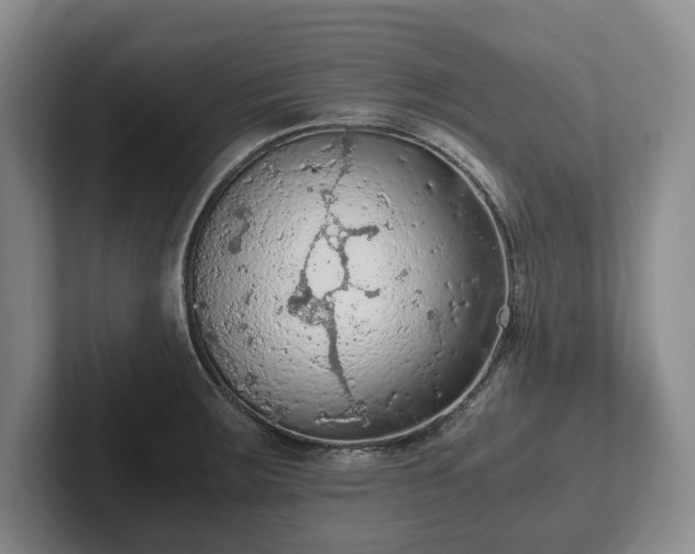 X0000102391283200808081220