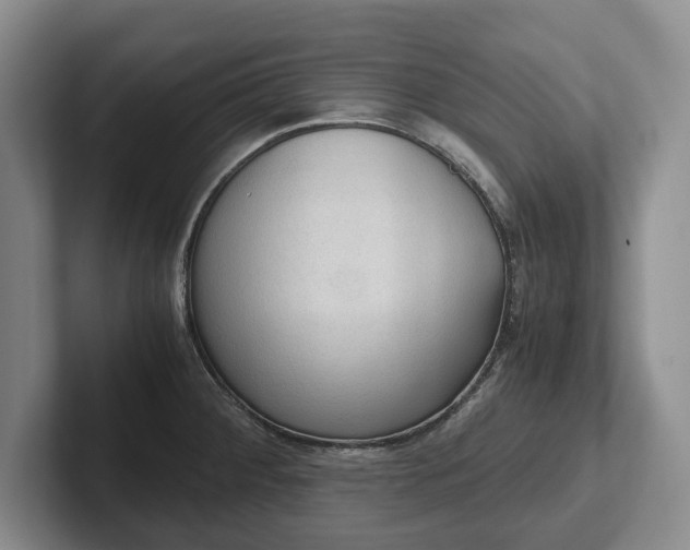 X0000102391284200808081220