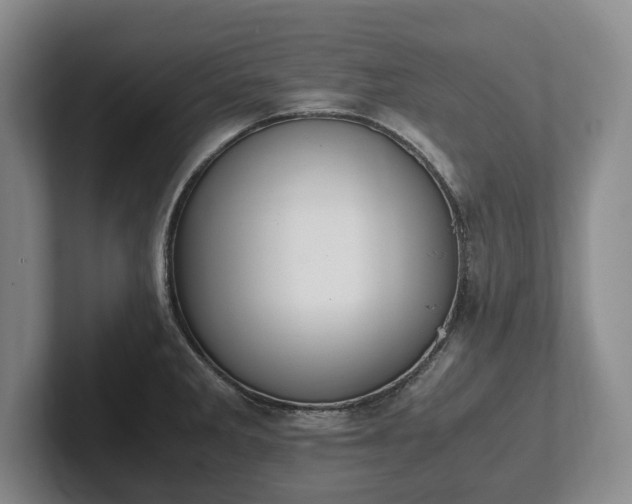 X0000102391285200808081220