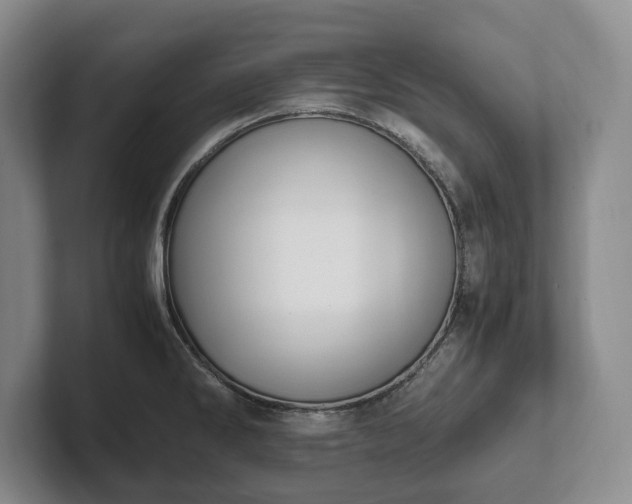 X0000102391286200808081220