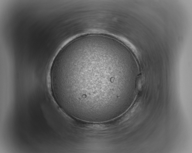 X0000102391287200808081220