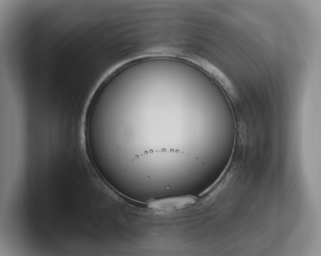 X0000102391288200808081220