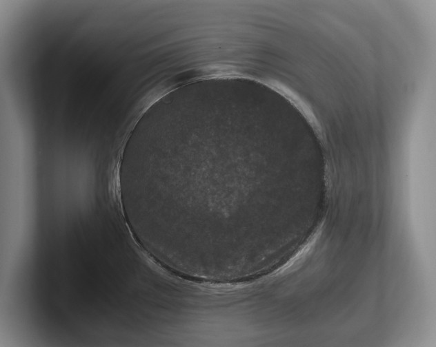 X0000102391289200808081219