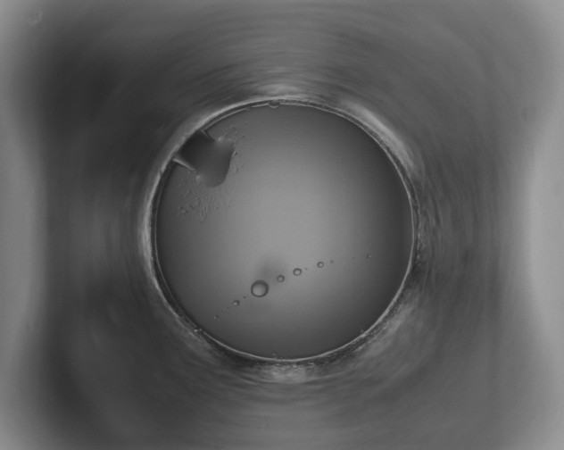 X0000102391291200808081219