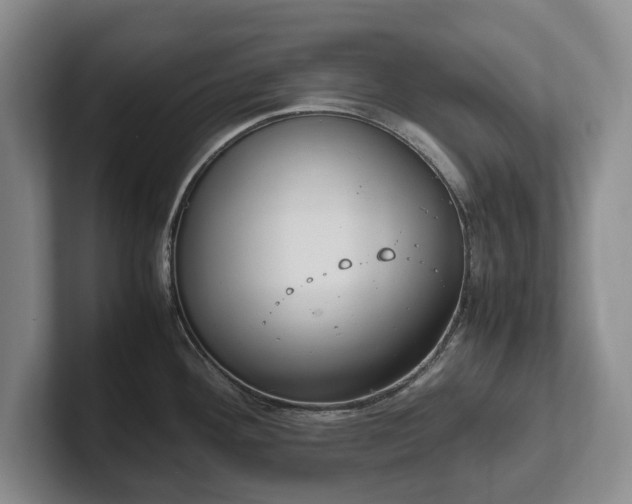 X0000102391292200808081219