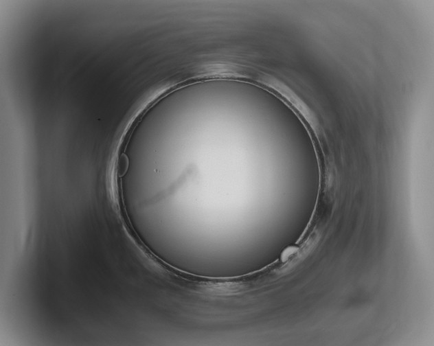 X0000102391293200808081219