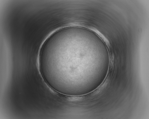 X0000102391294200808081219