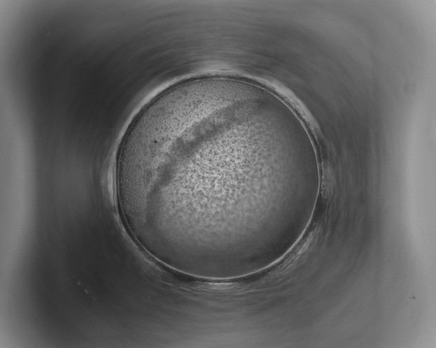 X0000102391295200808081219