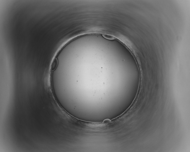 X0000102391296200808081219