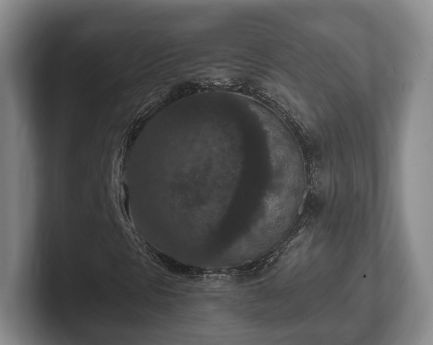 X0000102391297200808081219