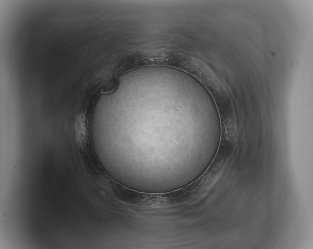 X0000102391298200808081219