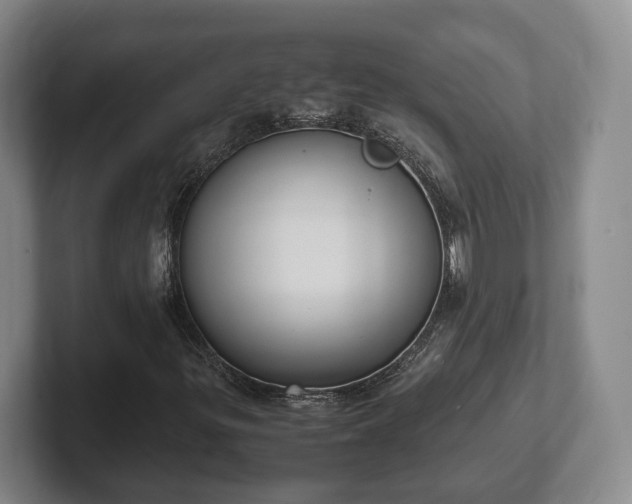 X0000102391299200808081219