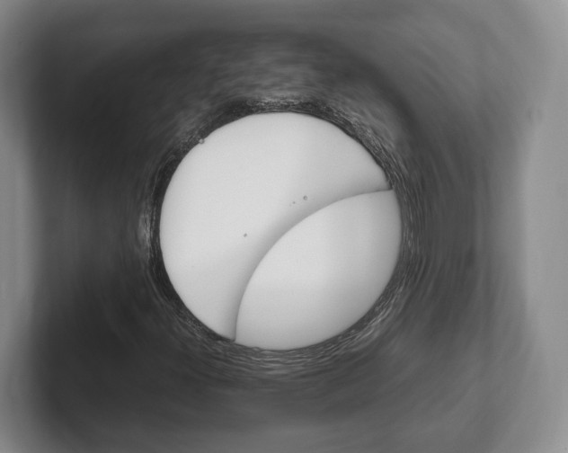 X0000102391300200808081219