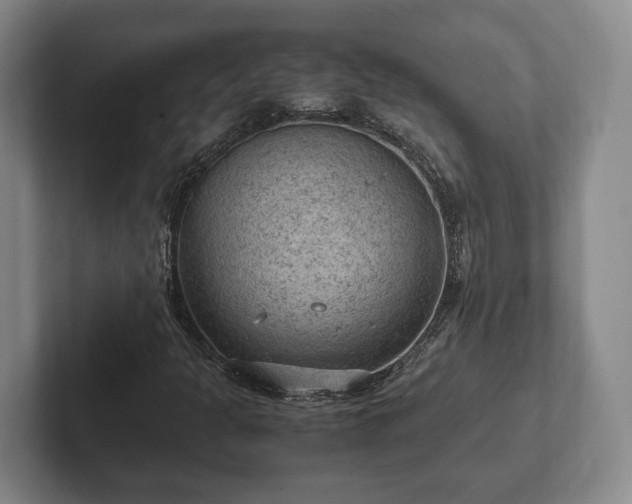 X0000102391301200808081219