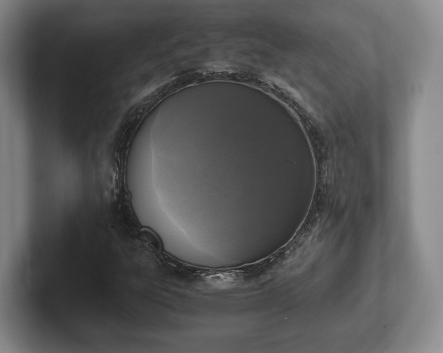 X0000102391303200808081219