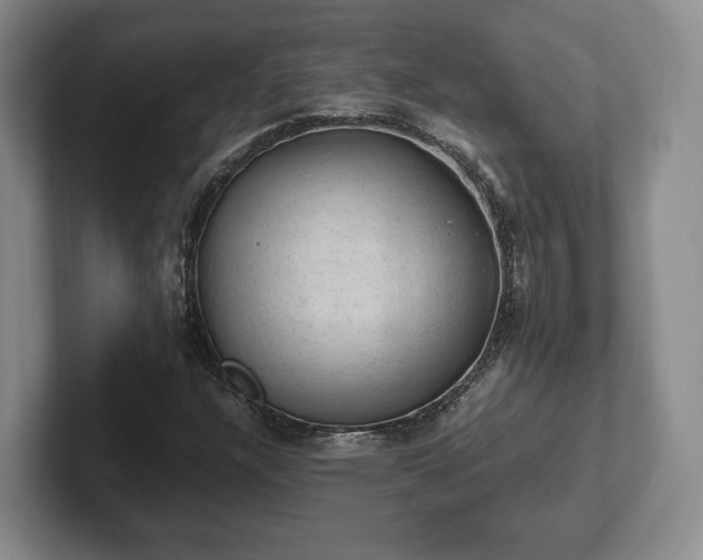 X0000102391304200808081219