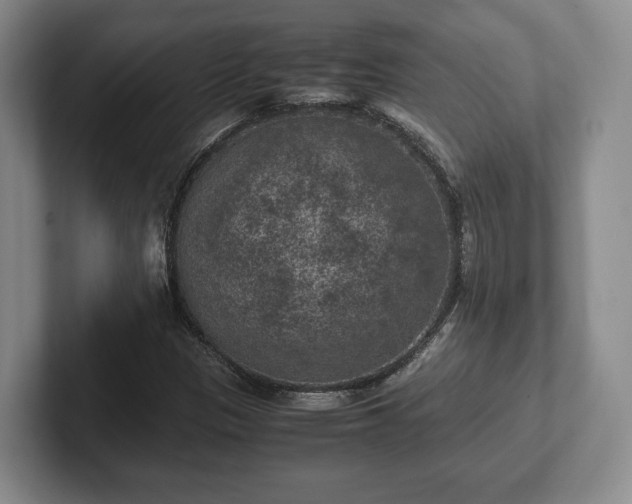 X0000102391305200808081219