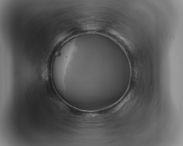 X0000102391306200808081219