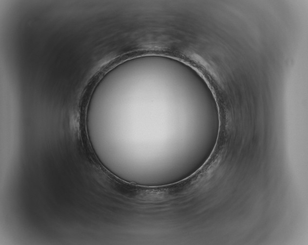 X0000102391307200808081219