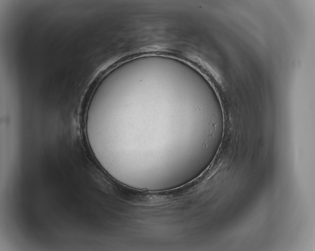 X0000102391308200808081219