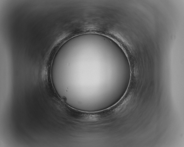 X0000102391309200808081219