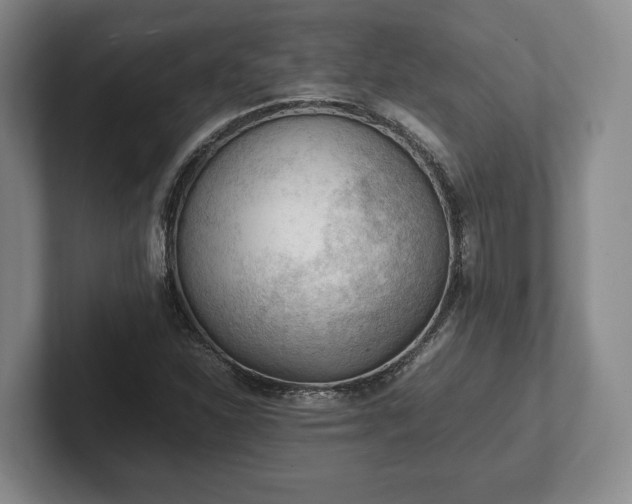 X0000102391310200808081219