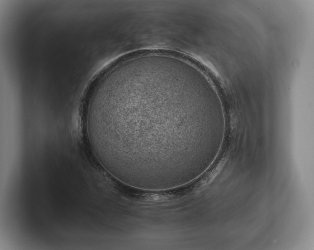 X0000102391311200808081219