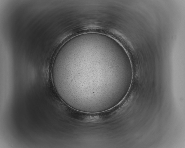 X0000102391313200808081219