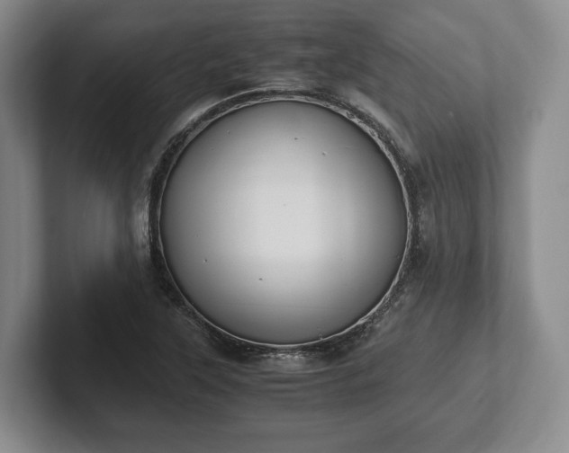 X0000102391315200808081219