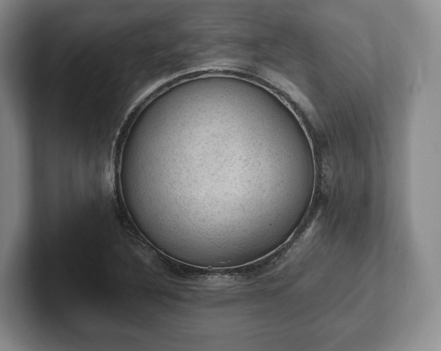 X0000102391316200808081219