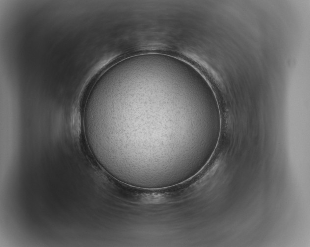 X0000102391317200808081219