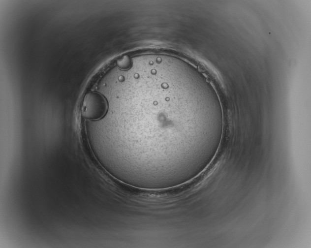 X0000102391318200808081219