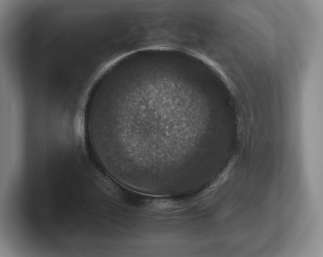 X0000102391319200808081219