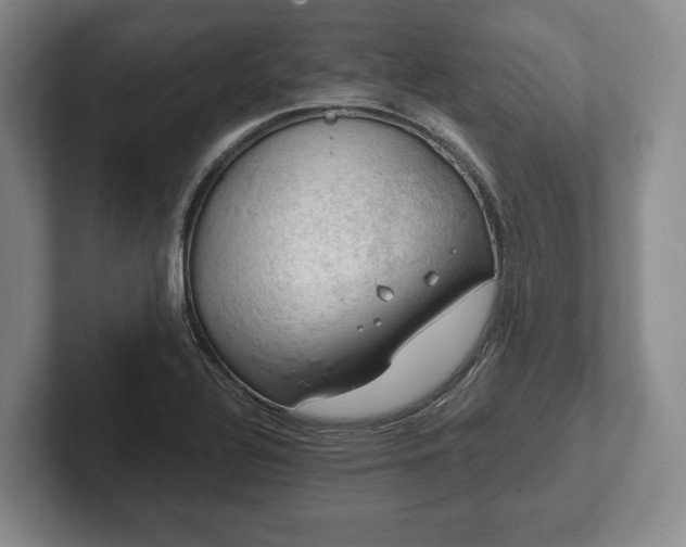 X0000102391320200808081219